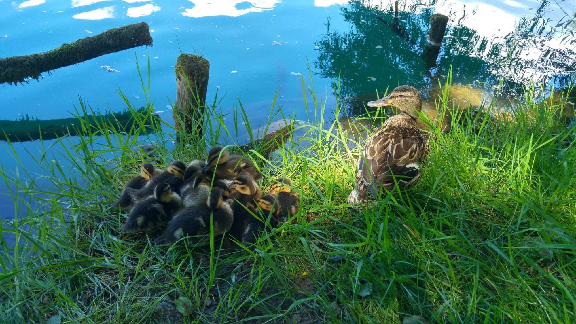 Fortuna Holiday Home Bihać Esterno foto